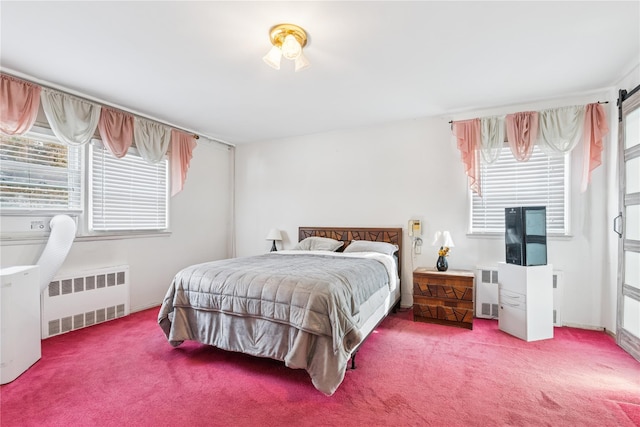 carpeted bedroom with radiator and multiple windows