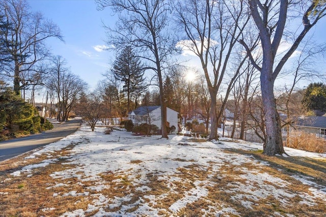 view of yard covered in snow