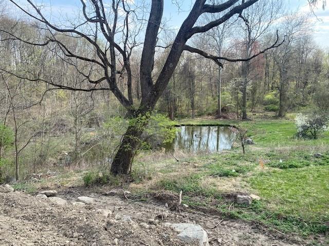 view of water feature featuring a wooded view