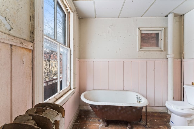 bathroom with a bathtub, plenty of natural light, and toilet