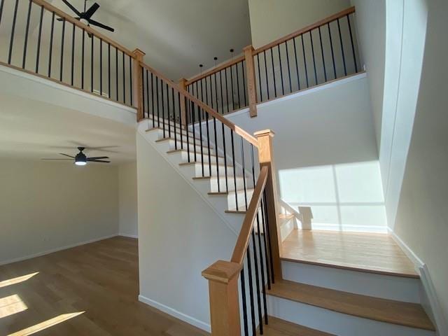 stairs with a high ceiling, wood-type flooring, and ceiling fan