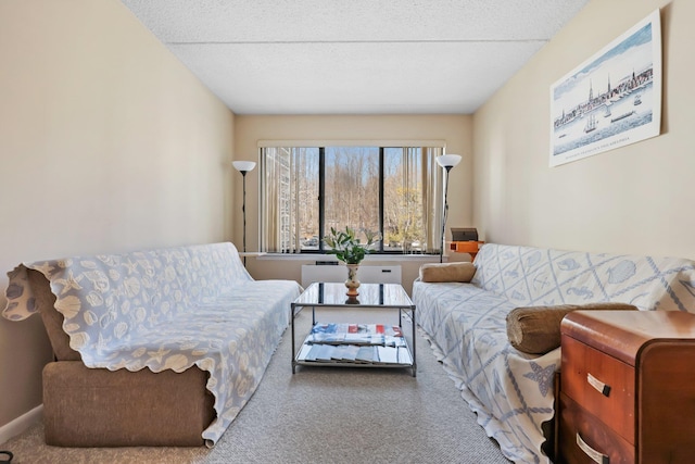 carpeted living area featuring radiator and baseboards