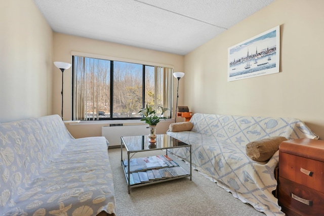 carpeted living area featuring radiator and a textured ceiling