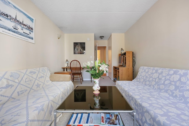 carpeted living room featuring a textured ceiling