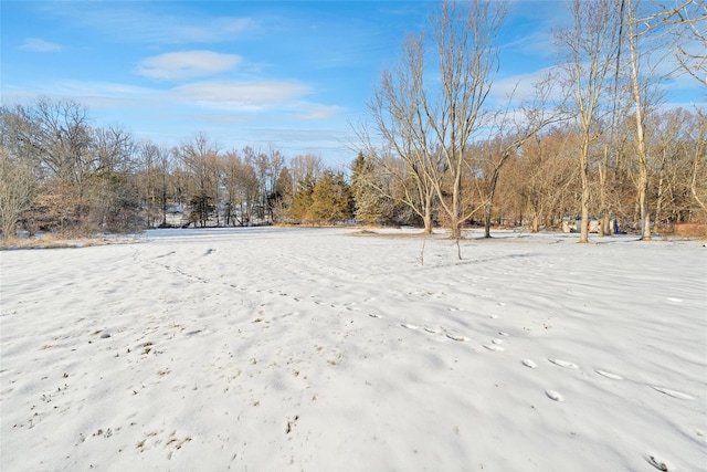 view of snowy yard