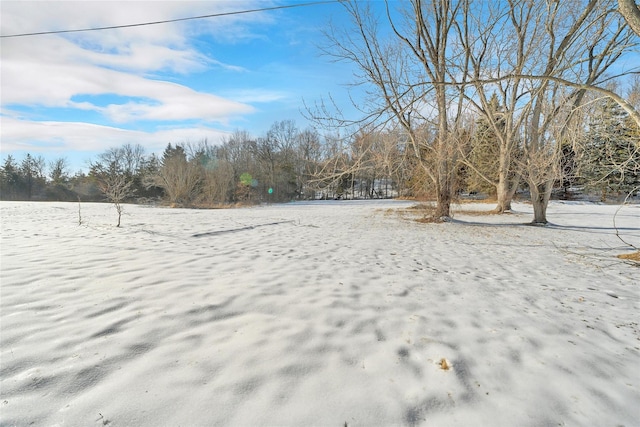 view of snowy yard