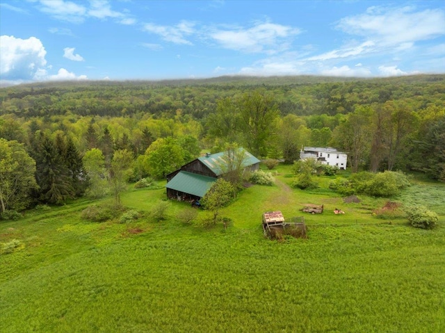 285 Shew Hollow Rd, Call Listing Agent, NY 12093 - view of subject property with a forest