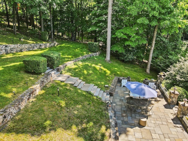 view of yard featuring a patio