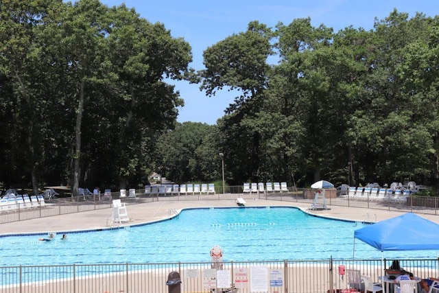 view of pool featuring a patio area