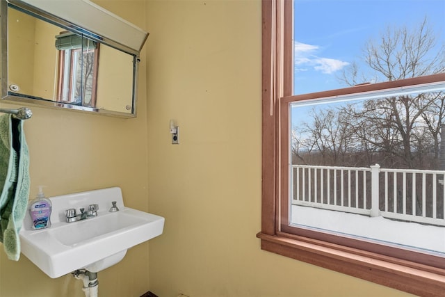 laundry area with sink