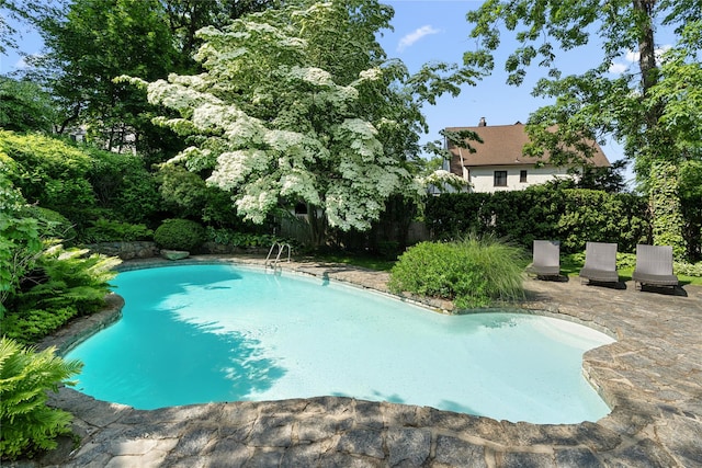 133AKA139 Hampshire Rd, Bronxville, NY 10708 - view of pool featuring a patio area