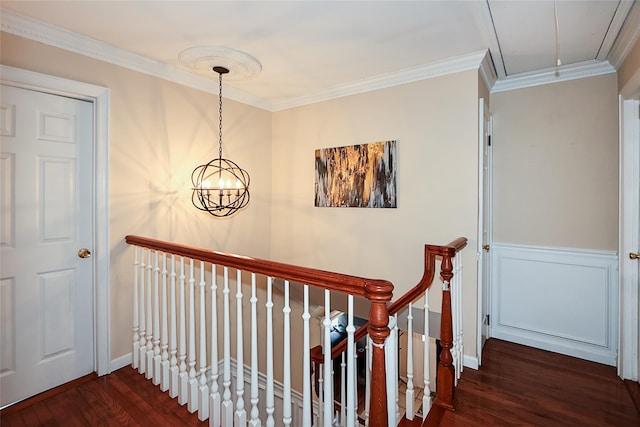 hall with dark hardwood / wood-style floors and ornamental molding