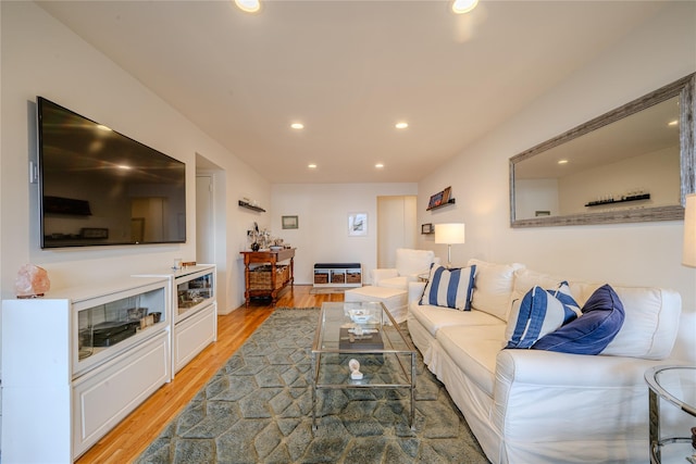 living room featuring light wood-type flooring