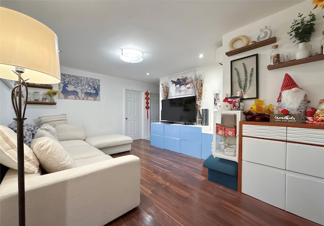 living room featuring dark wood-type flooring