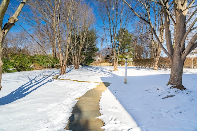 view of yard covered in snow