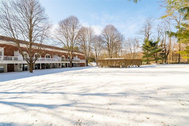 view of snowy yard