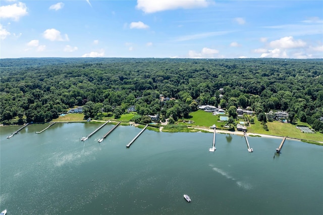 aerial view with a water view and a forest view