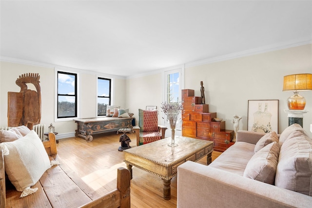 living room featuring light wood-type flooring and crown molding