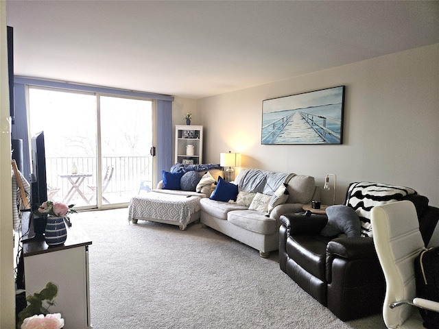 carpeted living room with expansive windows