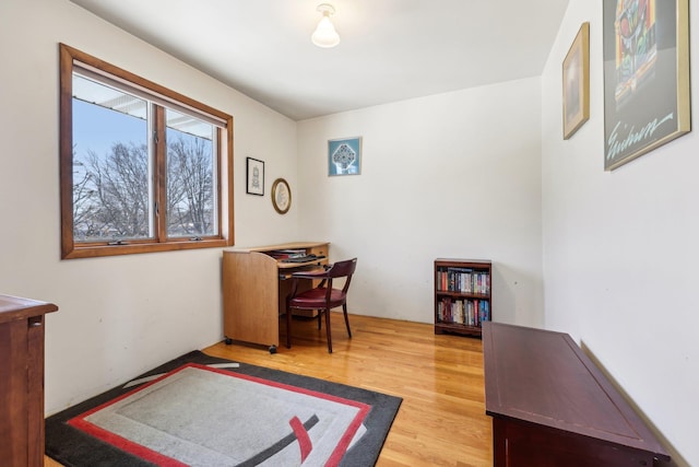 office featuring wood finished floors