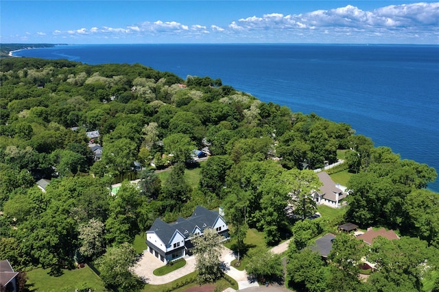 110 Crescent Ct, Wading River, NY 11792 - bird's eye view of a large body of water