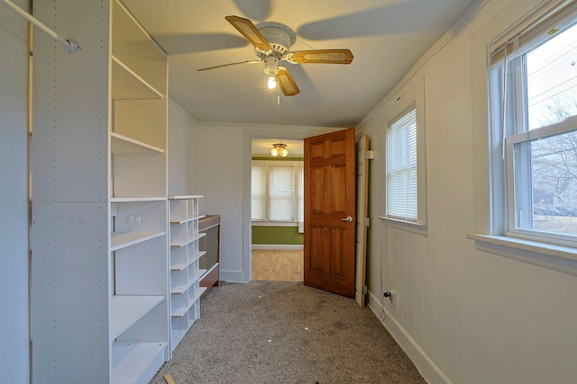 walk in closet with carpet flooring and ceiling fan