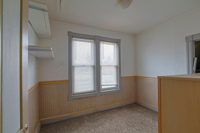 spare room featuring carpet floors and a wainscoted wall