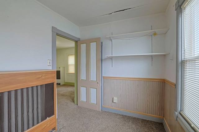 carpeted empty room featuring wainscoting and wooden walls