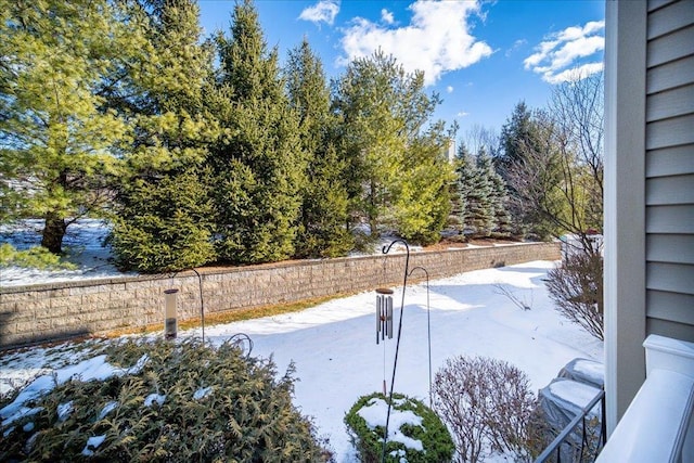 view of yard covered in snow