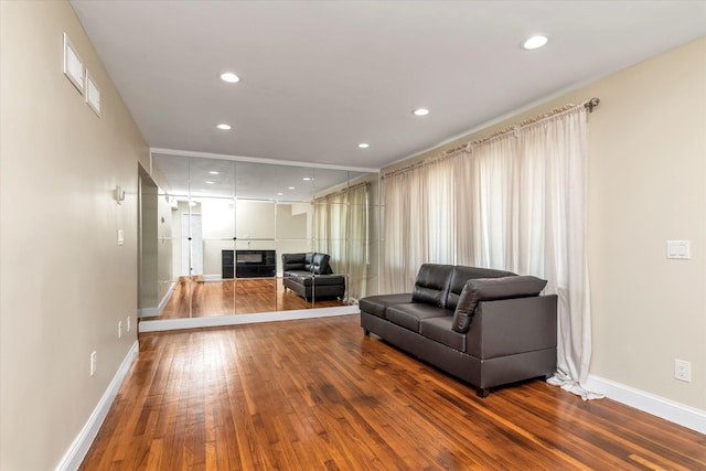 living room featuring wood-type flooring