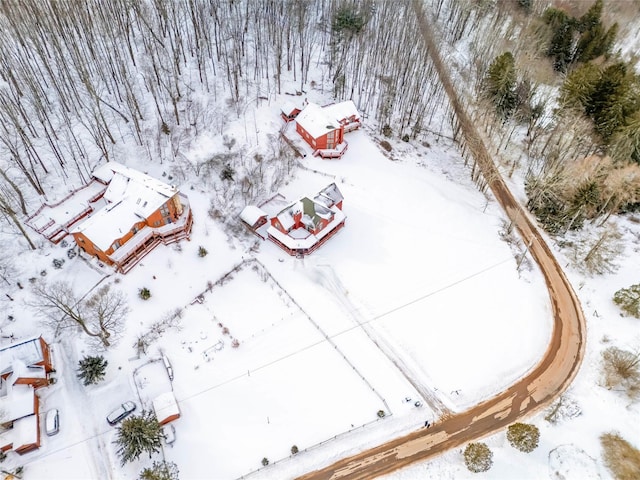 view of snowy aerial view