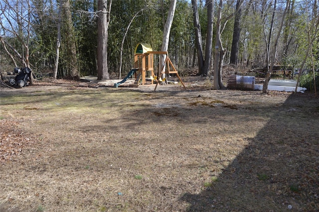 view of jungle gym