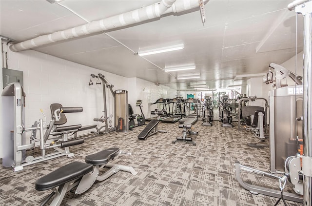 workout area with carpet floors