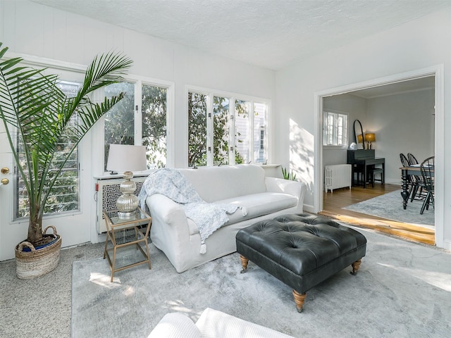 living area with a textured ceiling, wood finished floors, and radiator