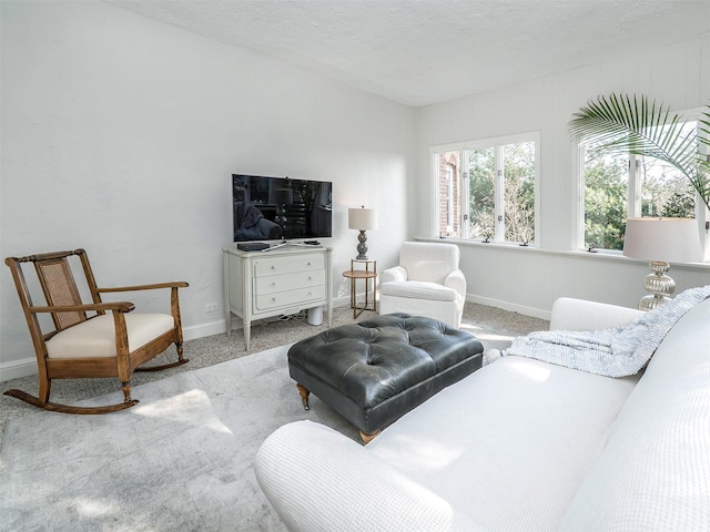 living area featuring a textured ceiling, carpet, and baseboards