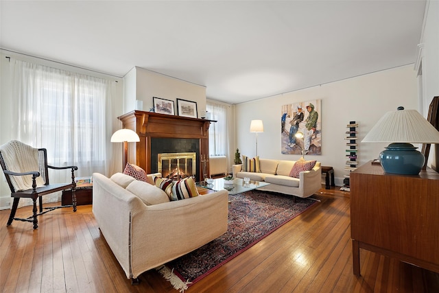 living room with wood-type flooring and a fireplace