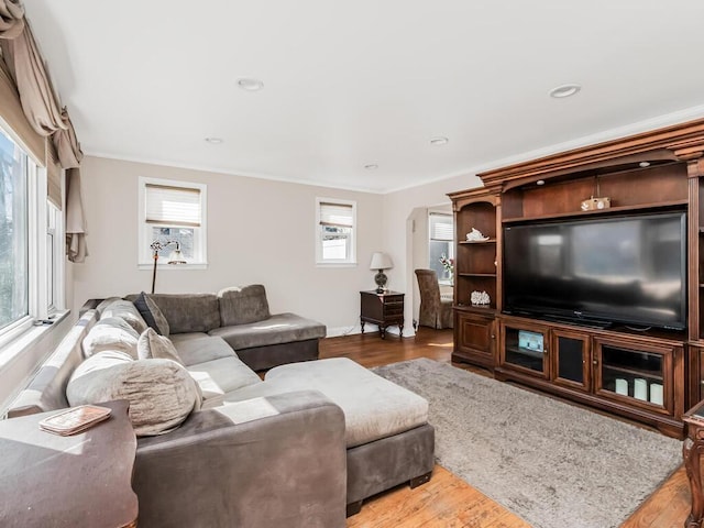 living area featuring crown molding, wood finished floors, and recessed lighting