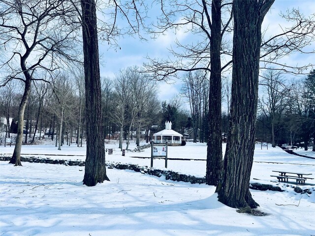 view of snowy yard