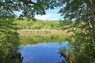 view of water feature with a wooded view