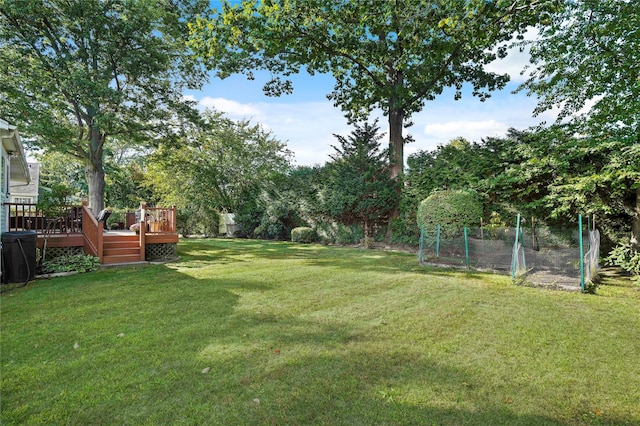 view of yard featuring a deck