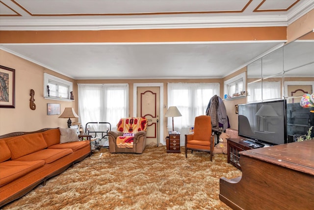 living room with radiator heating unit, plenty of natural light, and crown molding