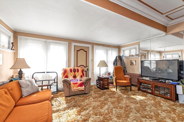 carpeted living room featuring ornamental molding and radiator