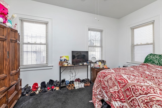 carpeted bedroom with multiple windows