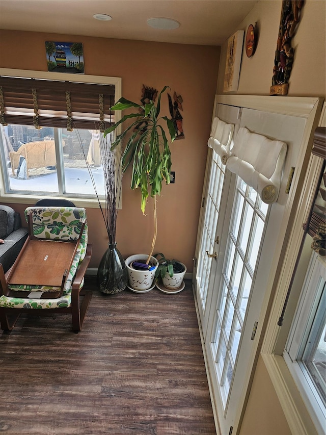 interior space featuring wood-type flooring