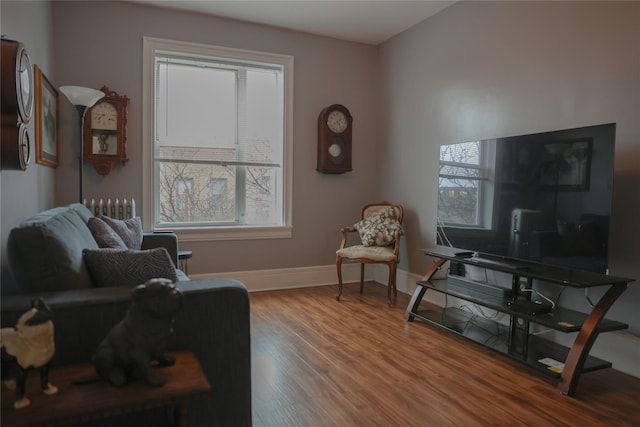 living area featuring plenty of natural light, baseboards, and wood finished floors