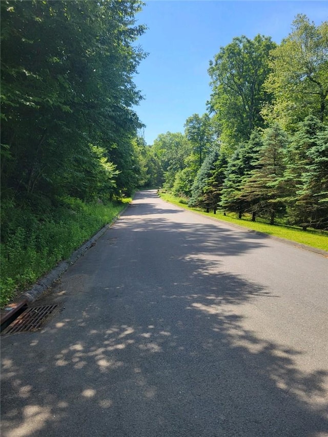 9 Guion Ln, Bedford, NY 10506 - photo 4