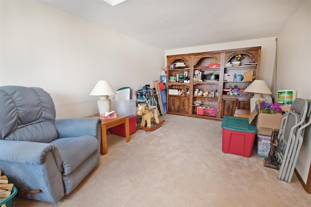 living area with carpet floors