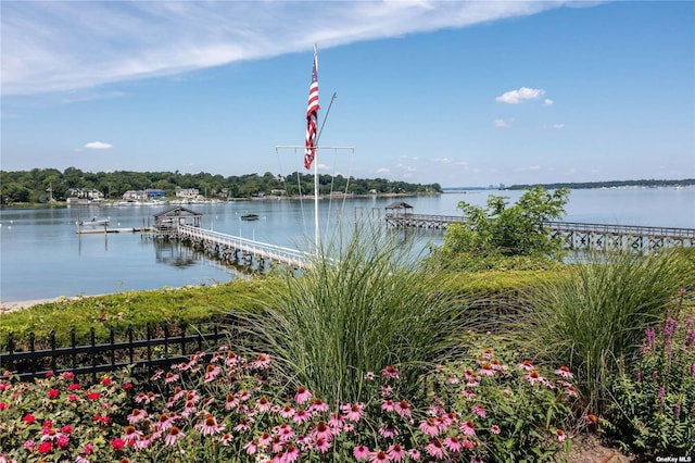 water view with a dock