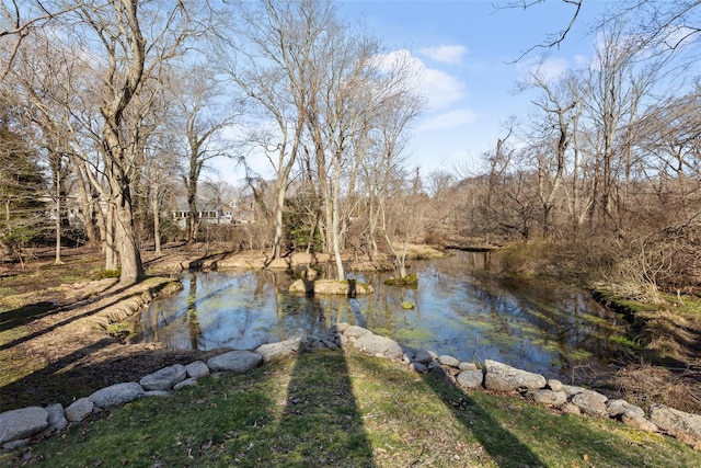 view of water feature