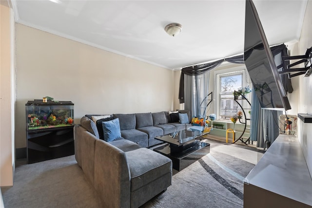 living room featuring ornamental molding and carpet flooring